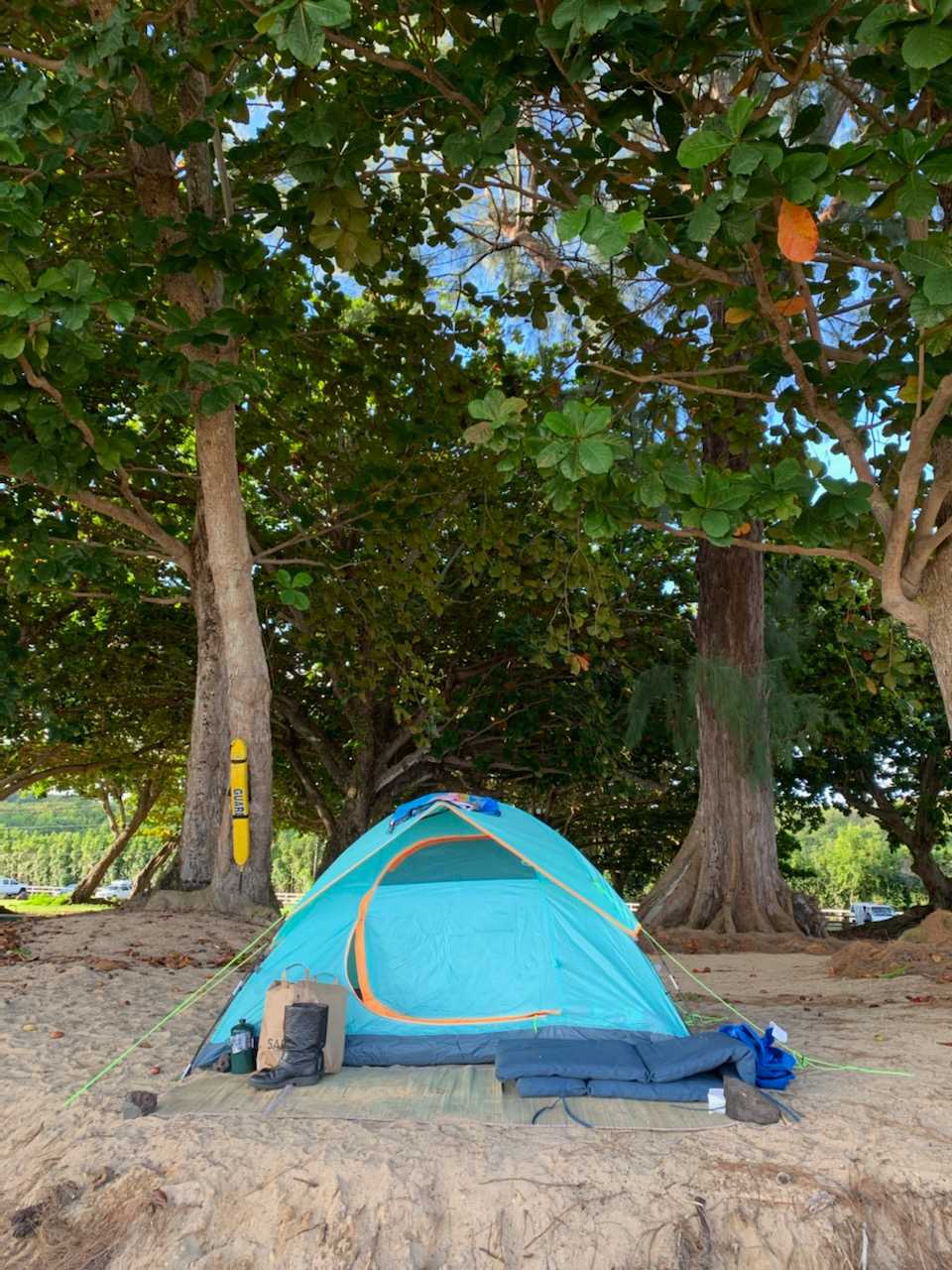Enjoy serene beach camping! A blue tent sits on sand surrounded by trees. Perfect for outdoor getaways, like those with an RV rental.