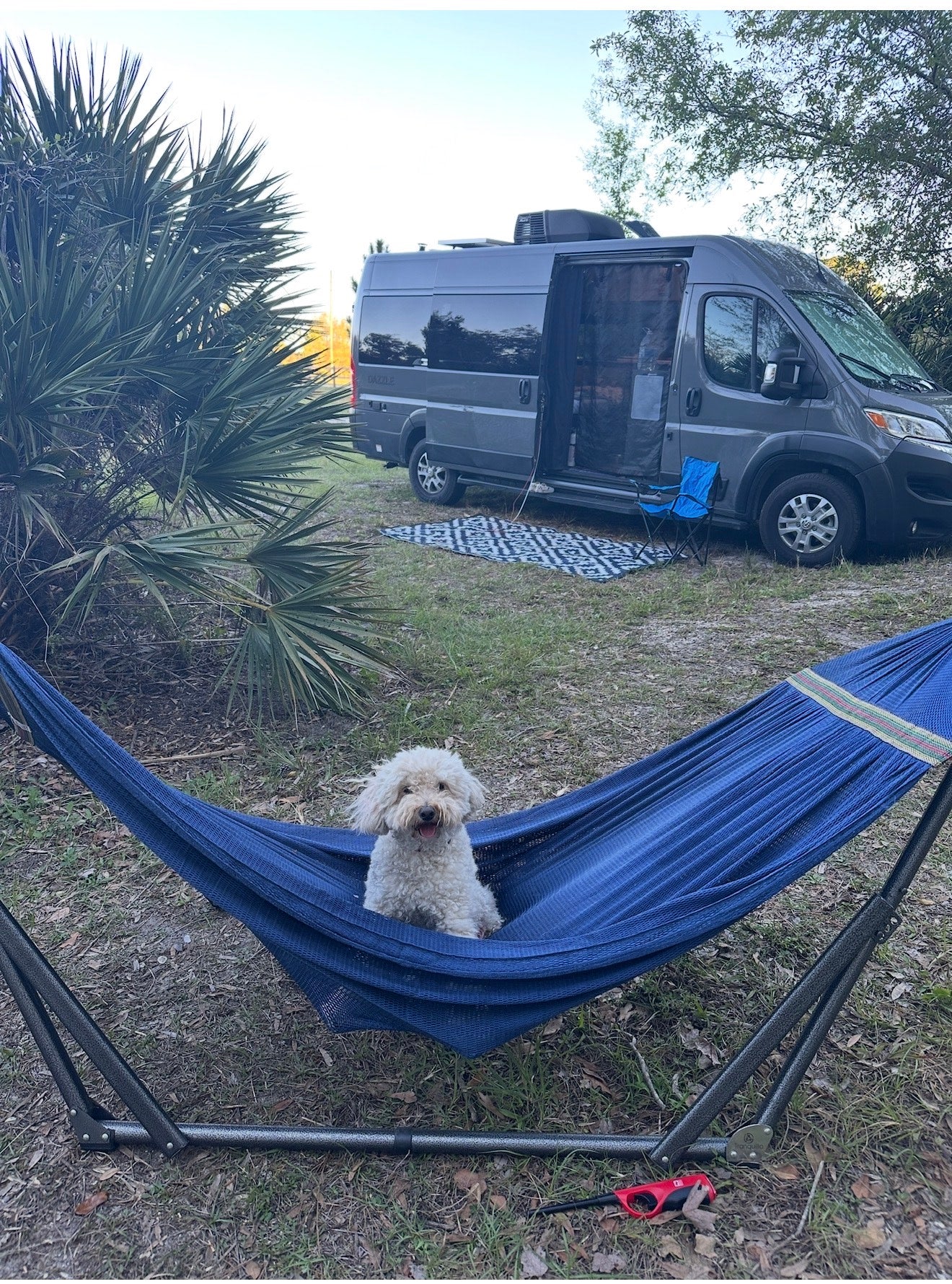 Happy fluffy white dog in a blue hammock. A gray RV rental and camping setup is behind, perfect for outdoor fun.