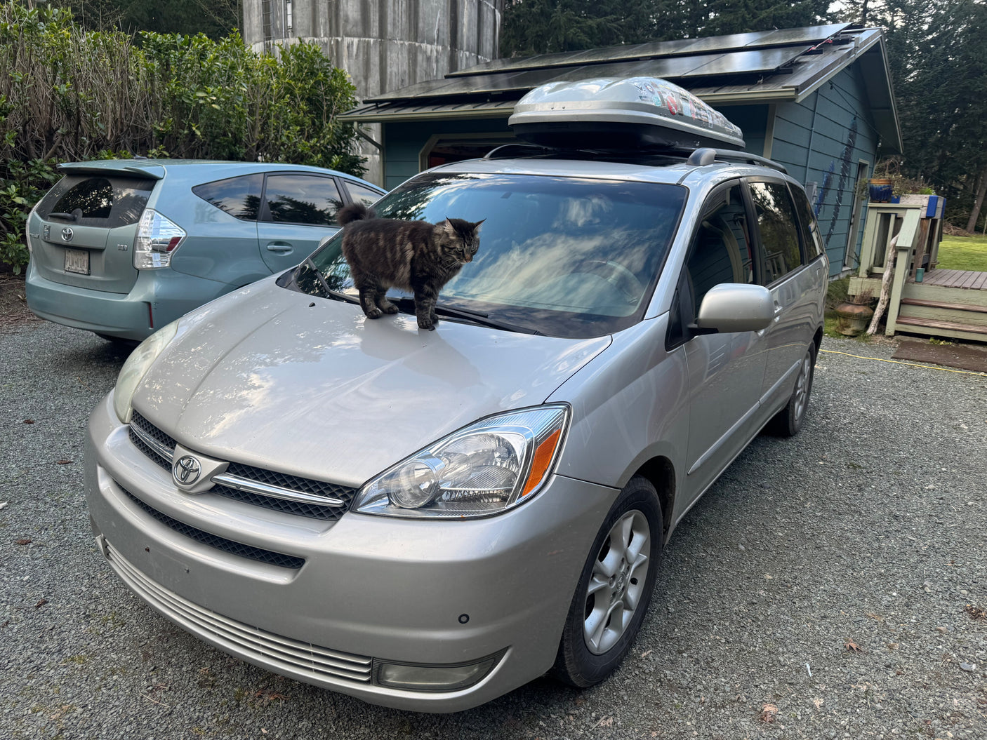 Curious tabby cat on a silver minivan with a roof cargo box, perfect for family adventures like an RV rental trip.