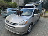 Curious tabby cat on a silver minivan with a roof cargo box, perfect for family adventures like an RV rental trip.