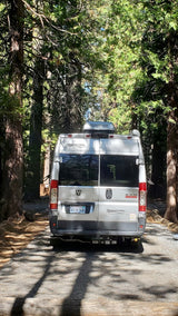A grey Pleasure-Way camper van parked in a sunny forest. An ideal rv rental for nature adventures.