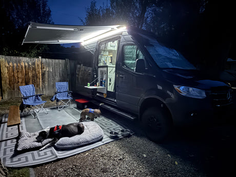 Nighttime rv rental with dogs relaxing on an illuminated outdoor setup. A cozy campervan experience with furry friends.