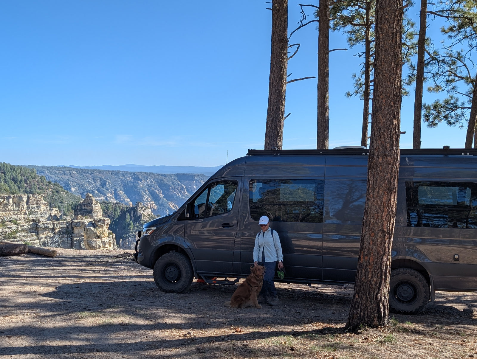 An rv rental camper van with a person and their dog parked at a breathtaking canyon viewpoint, surrounded by pine trees.