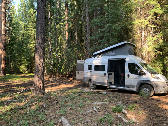 White Winnebago Solis RV rental camper van with pop-top extended, parked in a sunny forest.