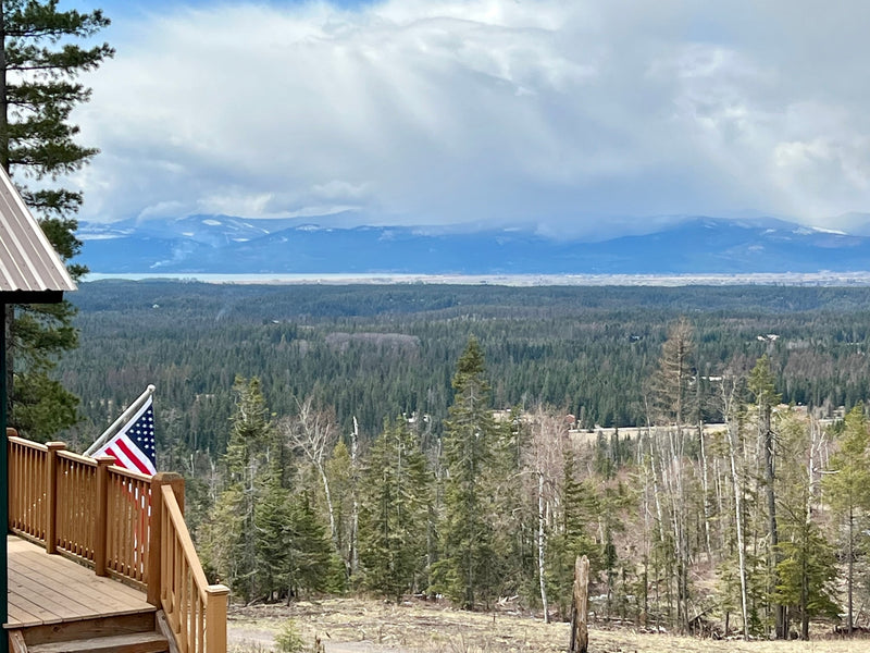 Scenic mountain view from a cabin deck with US flag, overlooking a vast forest, lake, and distant snow-capped peaks. Ideal for RV rental trips. — photo 20