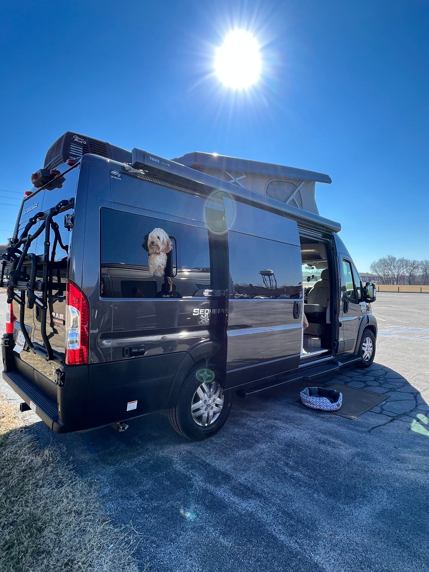 RV rental camper van, pop-top open, side door ajar for a dog peering out, bathed in bright sun.