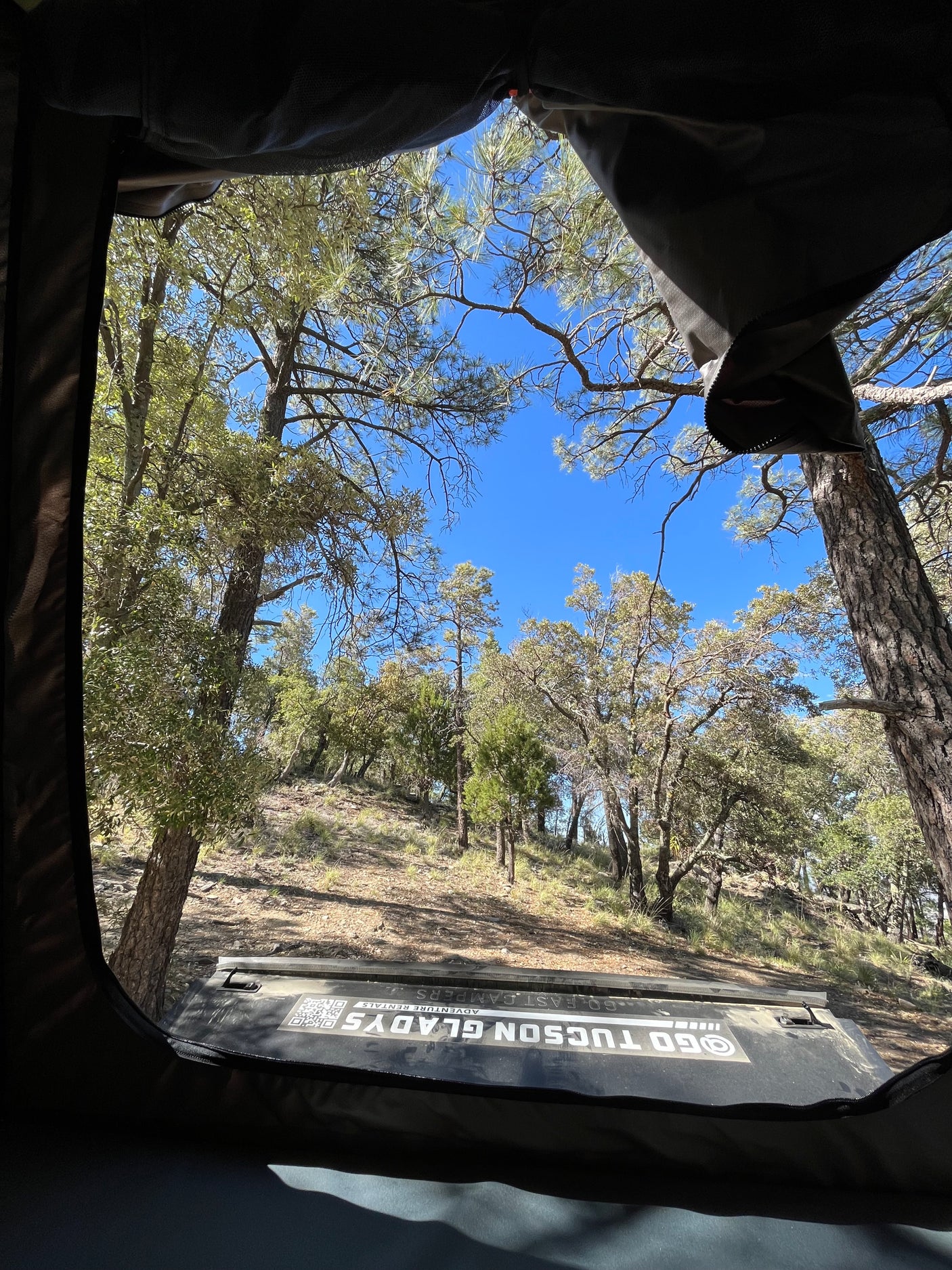 View from inside an RV rental tent, revealing a sunny forest and clear blue sky. Ideal for outdoor camping and adventure.