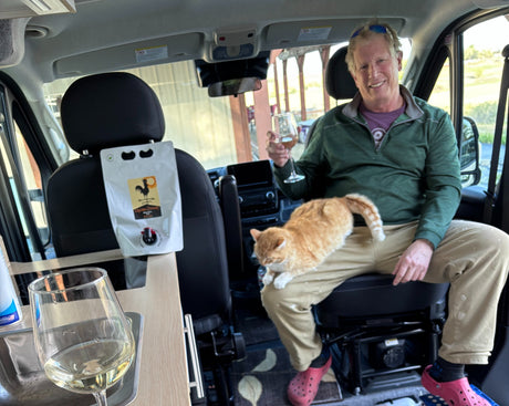 RV rental fun! A happy man and his orange cat share wine in their camper van, enjoying the perfect travel setup.