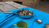At our RV rental, a striped ground squirrel sits in a metal pan on a blue tarp, near a green cup.