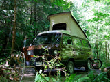 Brown pop-top VW camper van in a sun-dappled forest, ready for adventure. Perfect RV rental for nature trips.