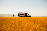 A scenic RV rental adventure: a person walks from a camper van with a dog inside, surrounded by bright yellow flowers.