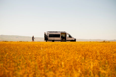 A scenic RV rental adventure: a person walks from a camper van with a dog inside, surrounded by bright yellow flowers.