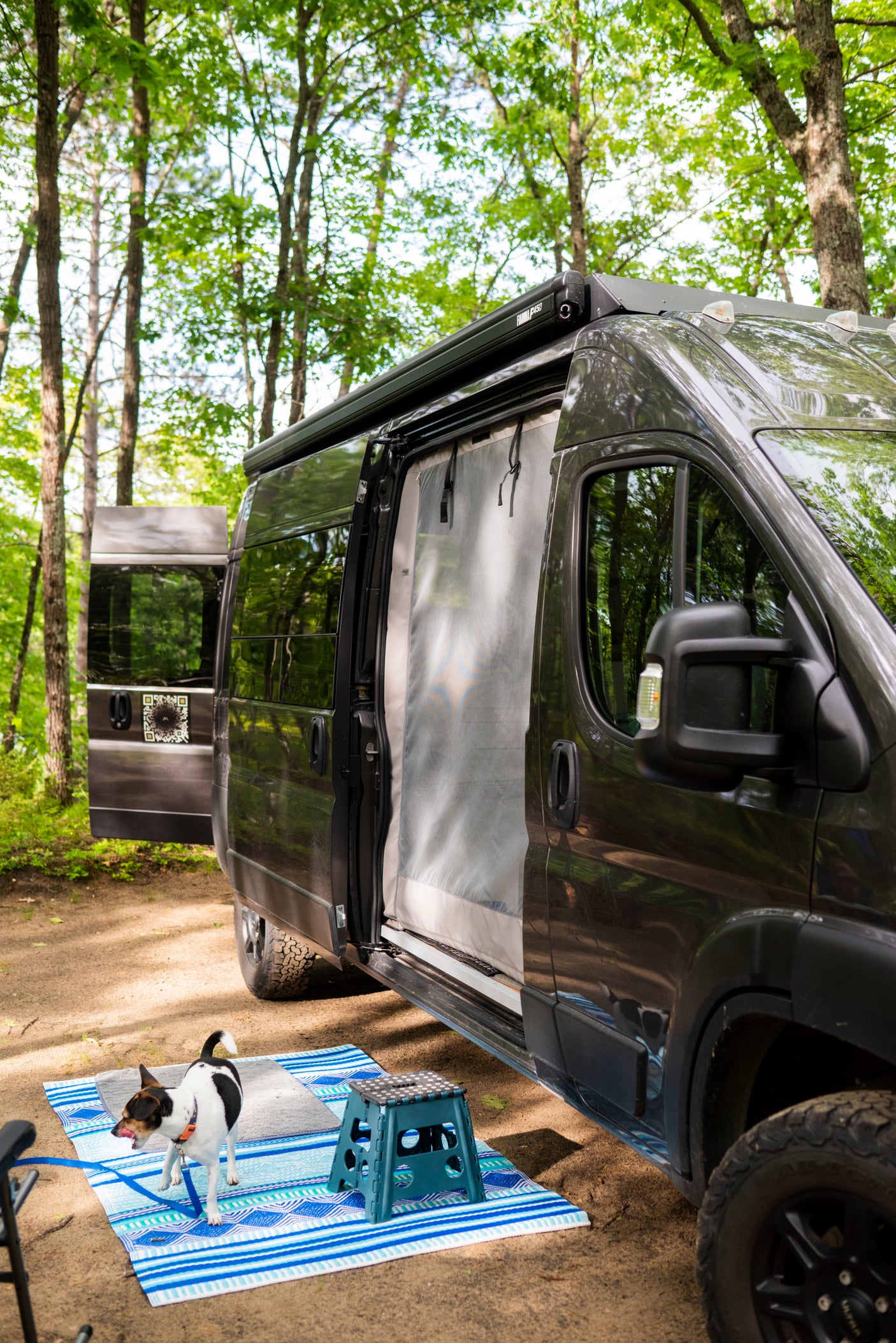 Enjoy your RV rental adventure! A dog stands outside a camper van at a wooded campsite, showing relaxed outdoor living.