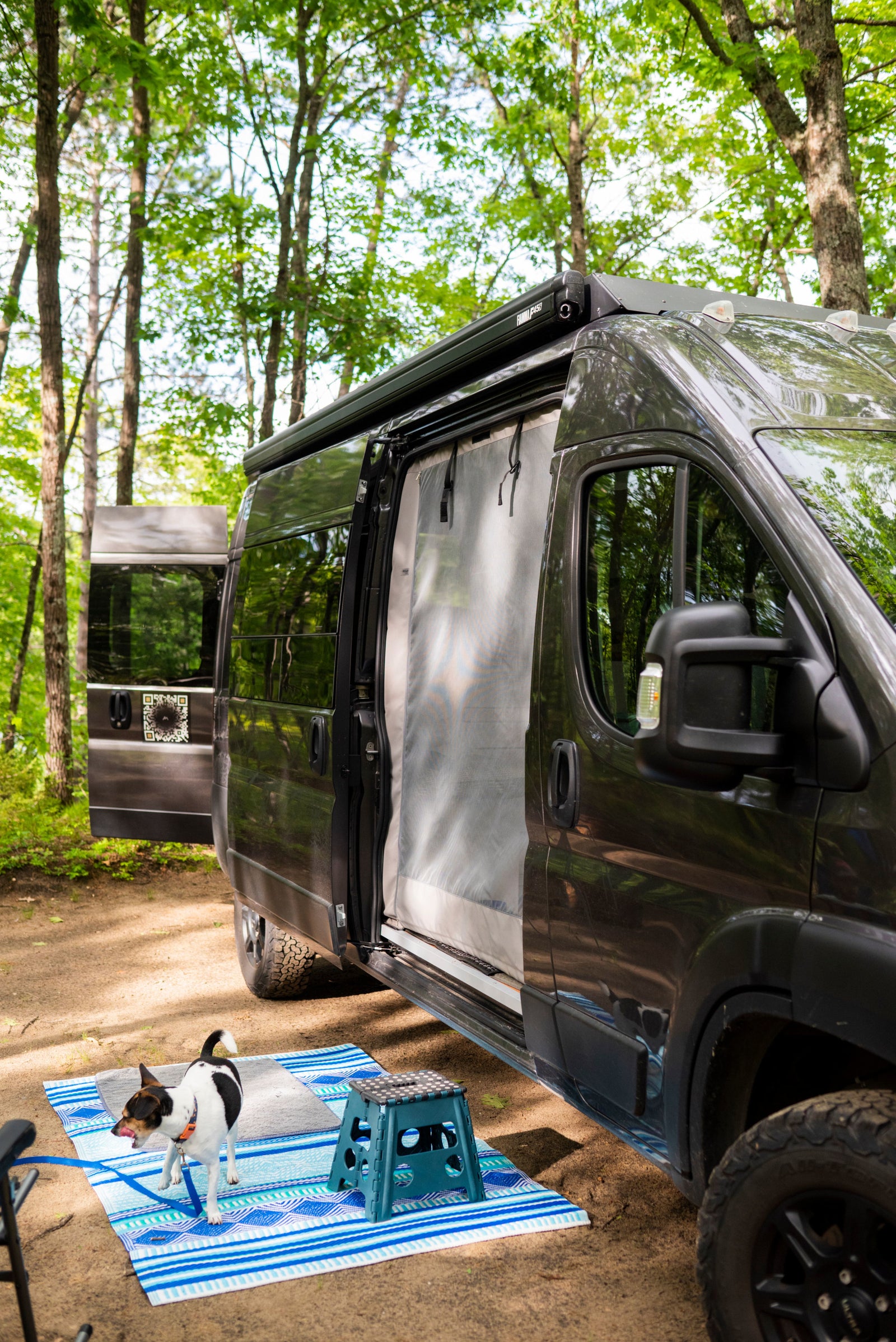 Enjoy your RV rental adventure! A dog stands outside a camper van at a wooded campsite, showing relaxed outdoor living.