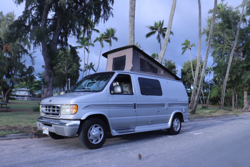 Silver pop-top RV rental camper van parked by palm trees in Hawaii under cloudy sky. A bird is on the asphalt. Ready for adventure! — photo 6
