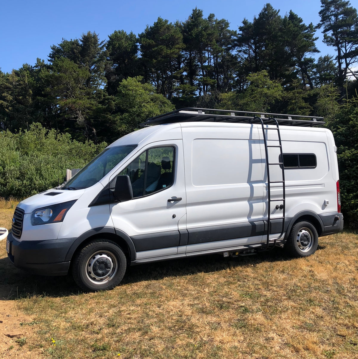 This white Ford Transit camper van RV rental is parked in a grassy field by tall trees, featuring a roof rack and ladder.