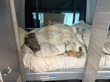 A dark gray dog, covered in a fluffy blanket, sleeps soundly on a bed in an RV rental. Cozy travel awaits!