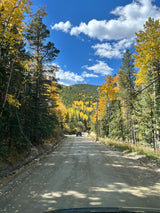 Experience stunning autumn colors on a mountain dirt road, perfect for an RV rental getaway.