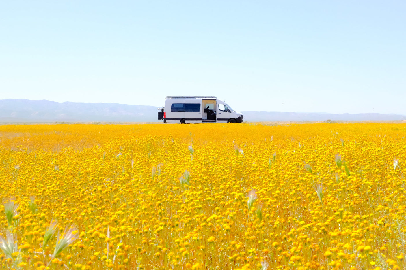 White RV rental van, side door open, in a field of bright yellow wildflowers with distant mountains.