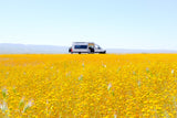 White RV rental van, side door open, in a field of bright yellow wildflowers with distant mountains.