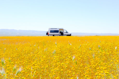White RV rental van, side door open, in a field of bright yellow wildflowers with distant mountains.