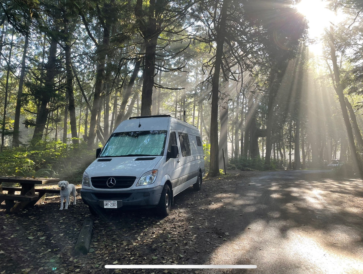 White RV rental van parked in a sun-dappled forest campsite