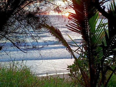 Maui GlampVan 1: Glamping Near Paia! — photo 3