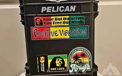 Pelican 1510 Case