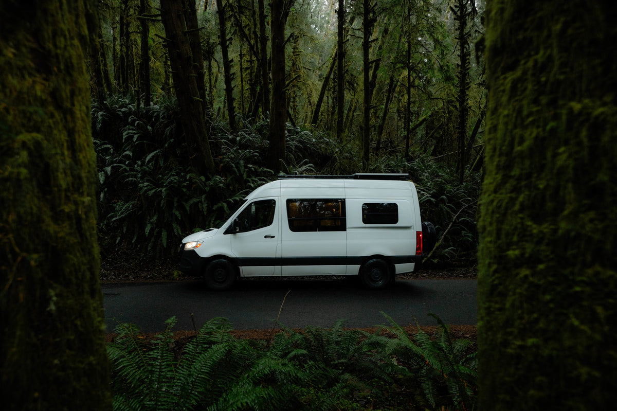A white RV rental camper van parked on a forest road amidst moss-laden trees and vibrant ferns.|Cozy RV rental interior: bed