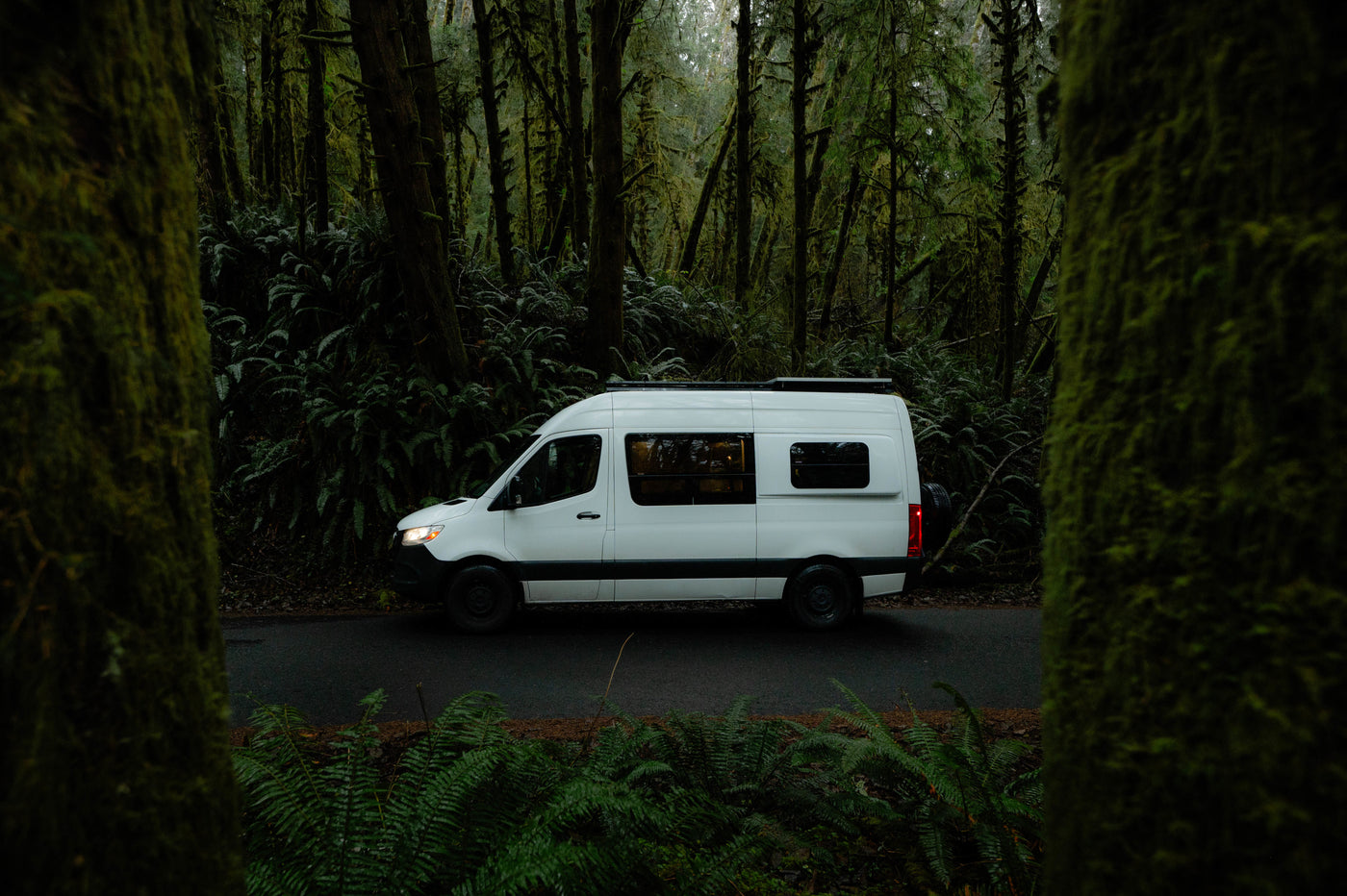 A white RV rental camper van parked on a forest road amidst moss-laden trees and vibrant ferns.