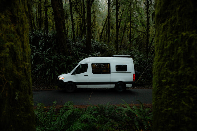 A white RV rental camper van parked on a forest road amidst moss-laden trees and vibrant ferns.