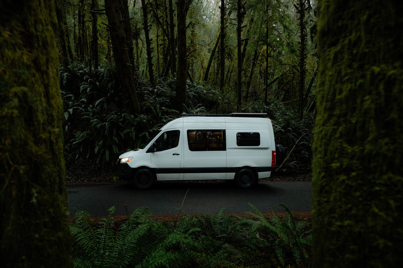 A white RV rental camper van parked on a forest road amidst moss-laden trees and vibrant ferns.|Cozy RV rental interior: bed — photo 1