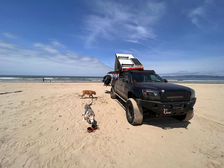 Black modified pickup truck with rooftop tent & solar, dogs, and ocean views on a sandy beach. Great for an RV rental adventure!