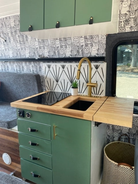 The Ramblin' Roost Family Adventure Van — photo 4