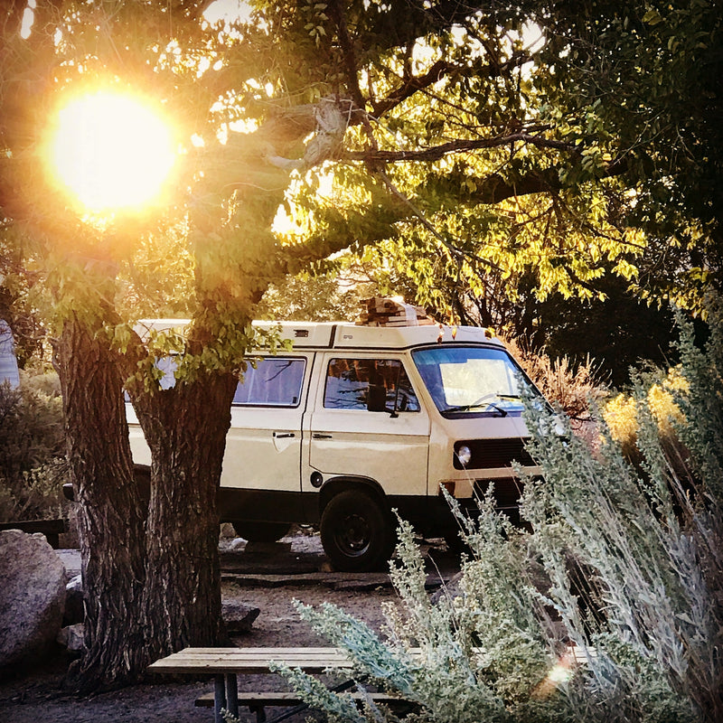 Sun-drenched RV rental: Beige camper van in a leafy campsite with a wooden table — photo 1