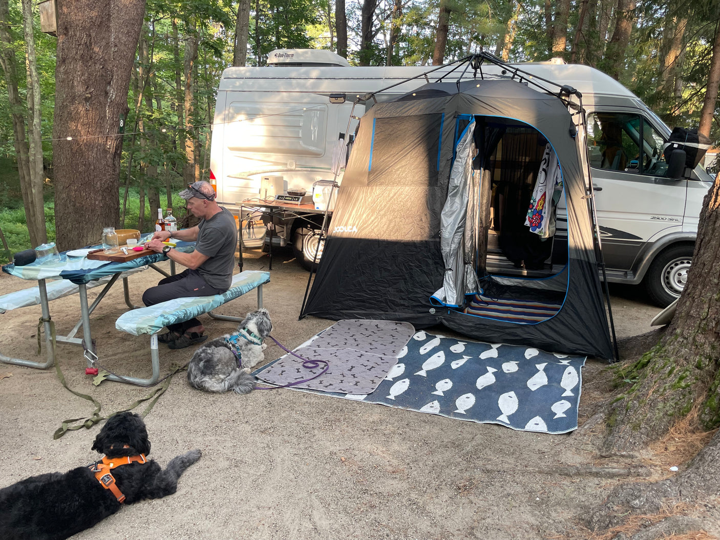An RV rental campsite with a man preparing food, a screen tent setup, and two dogs relaxing nearby.
