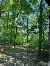 Explore rocky forest paths and lake views. Ideal for your RV rental getaway!