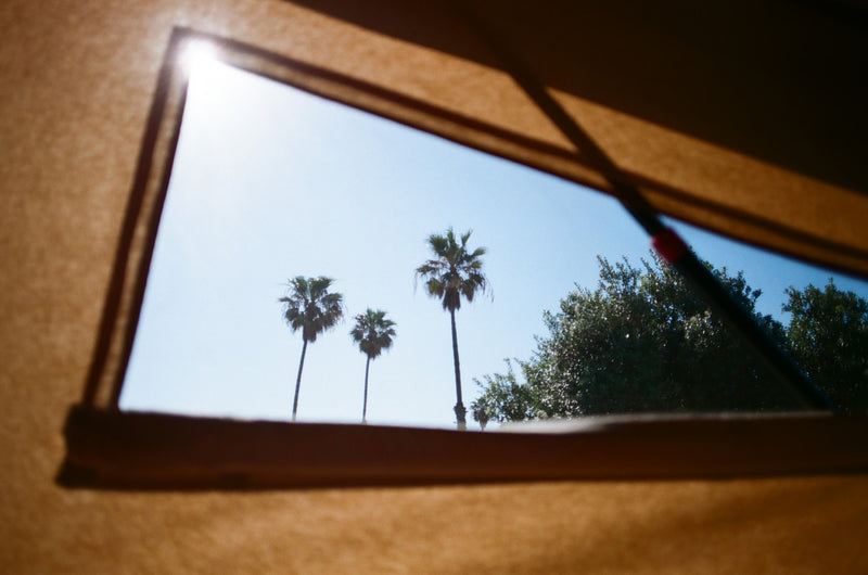 View from an RV rental window: sunny blue sky, palm trees, and lush greenery. — photo 7