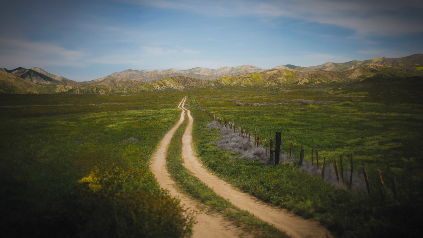 Explore with an RV rental! Winding dirt road through lush green plains & distant mountains under a blue sky. Adventure awaits. — photo 19