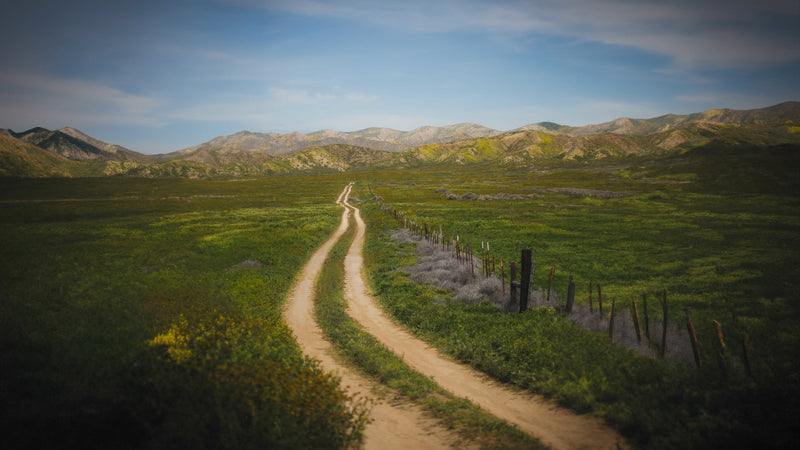Explore with an RV rental! Winding dirt road through lush green plains & distant mountains under a blue sky. Adventure awaits. — photo 19