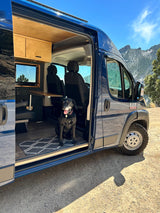 Adventure-ready RV rental! This custom blue camper van, with its door open, reveals a happy dog inside & mountain views.