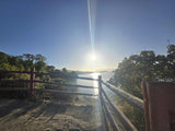 Scenic waterfront view from an ideal RV rental spot, sun glinting on water & trees. Perfect for your next outdoor adventure!