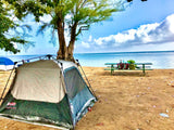 Enjoy serene beach camping! Tent on sand, ocean waves, picnic table under trees. Consider an RV rental for coastal trips.