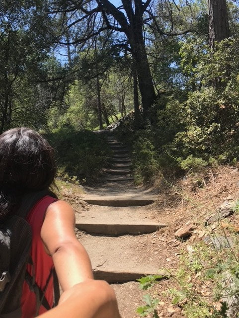 Beautiful forest hike on a stepped trail. Ideal adventure from your RV rental base camp. Person's back & arm visible.