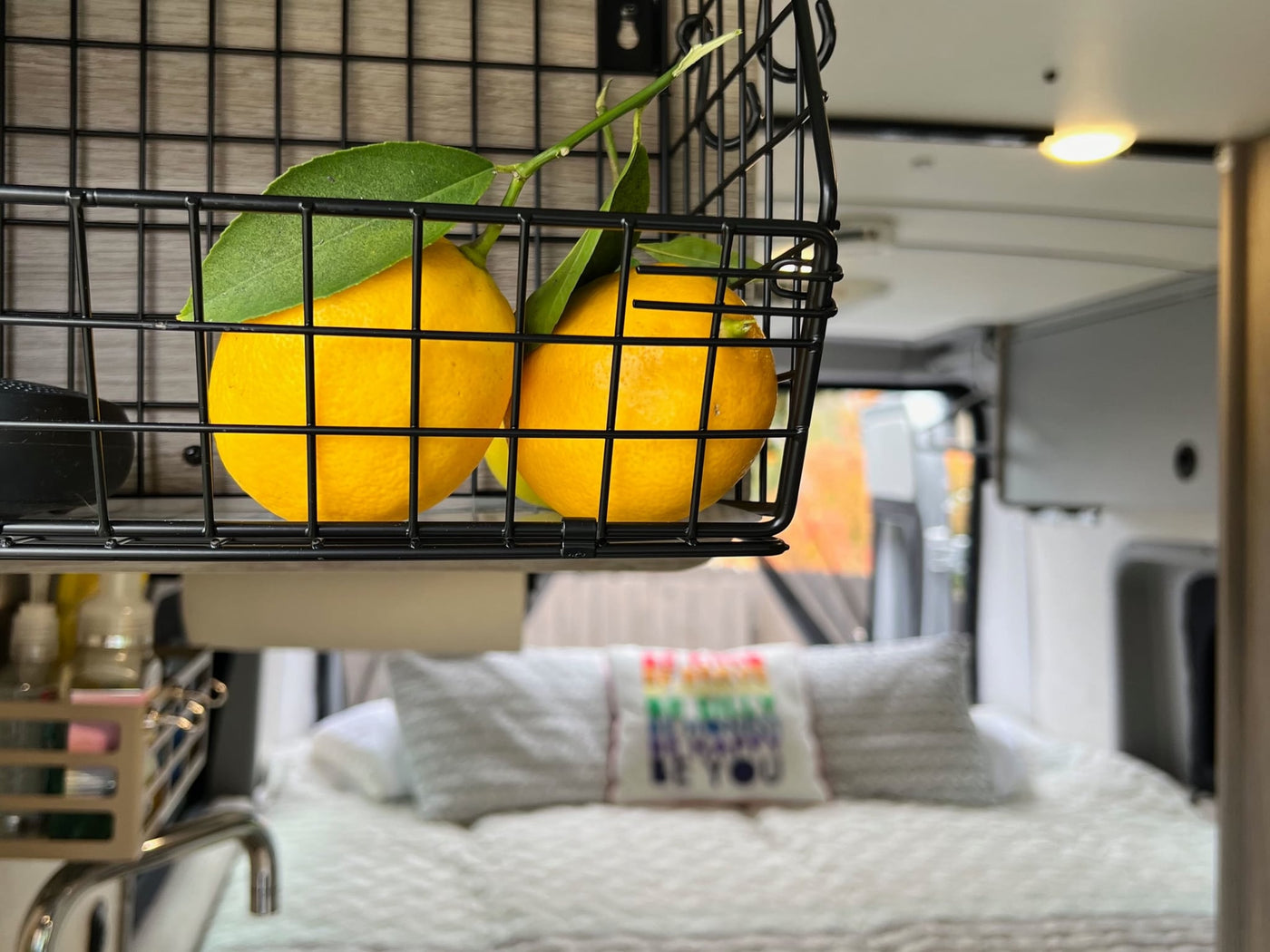  parked at a sunny campsite among trees.|This grey Winnebago Solis rv rental — photo 10