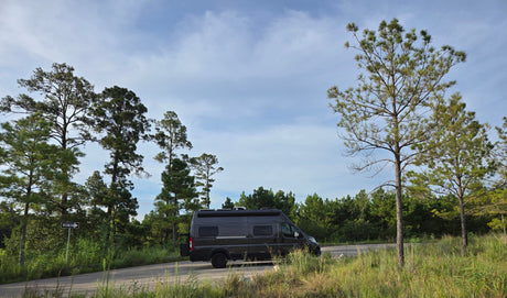 A dark grey rv rental parked by tall pine trees on a roadside, surrounded by green foliage under a blue sky.