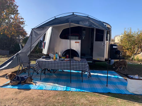 Enjoying an RV rental setup: A silver camper with awning, outdoor dining, and two dogs relaxing on a sunny day.