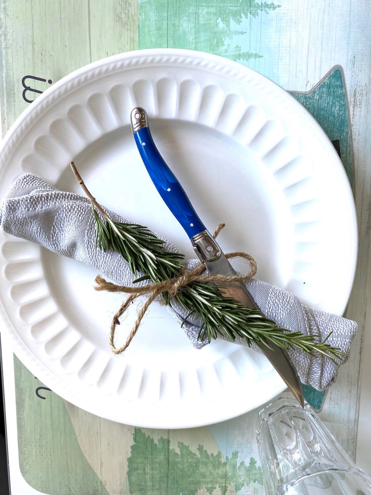 Perfect RV rental meal setup: plate, rosemary-tied napkin, blue knife on a nature-themed placemat. Enjoy glamping!