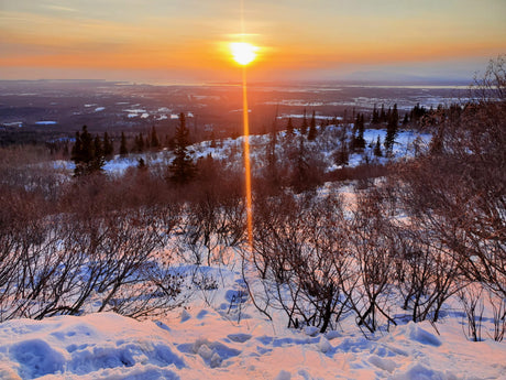 Brilliant sunset over a snowy winter landscape with distant views and barren trees. Perfect for an RV rental journey.