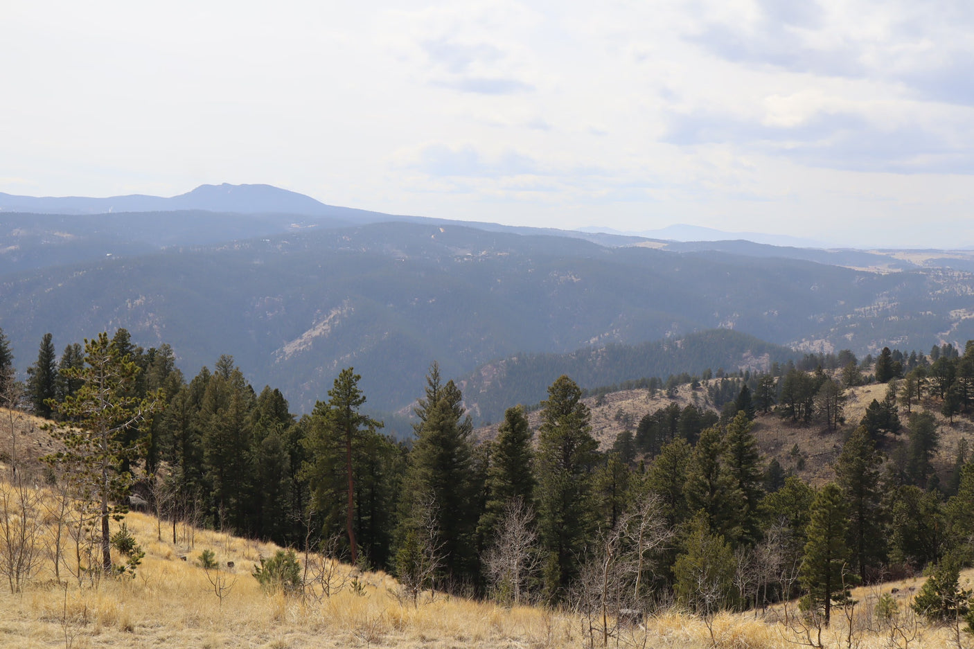 Scenic mountain landscape with layered hills, dense pine forests & golden grass. Ideal for an RV rental journey through nature.